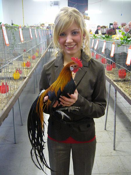 Delbrueck 2008 195.jpg - Zwerg Phönix goldhalsig von Nicole Henkemeier Preis HV 96 Pokal